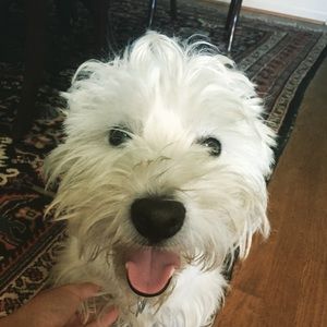 Meet your Posher, Eli